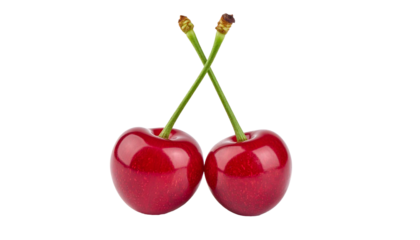 Two ripe red cherries crossing stems, forming x shape against transparent backdrop, highlighting fresh fruit visual for culinary graphics