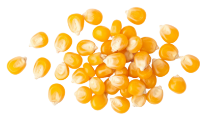 Golden corn kernels displaying textural detail, showcasing agricultural abundance against clean transparent surface