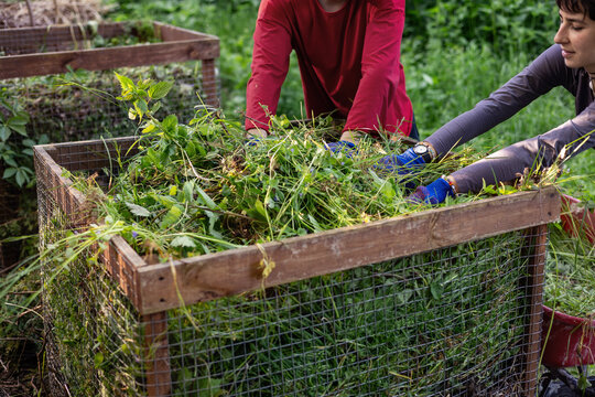 Two gardeners composting plant waste in backyard garden, man and woman transferring organic debris from wheelbarrow into compost bin, teamwork in sustainable gardening and recycling. Copyspace.