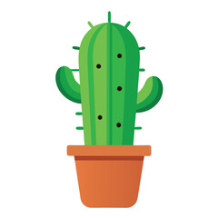 cactus in a pot