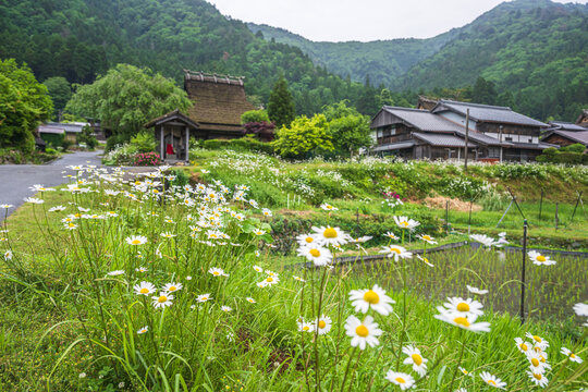 京都 美山かやぶきの里の風景