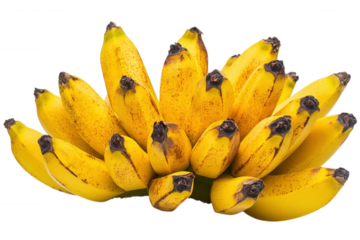 Bunch of ripe yellow bananas isolated on transparent background