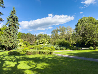 Sunny day in a green park with lush trees and blue sky