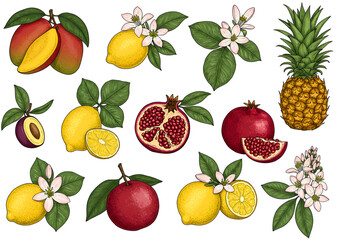 Obraz premium Vibrant Fruit & Blossom Collection Mango, Lemon, Pomegranate