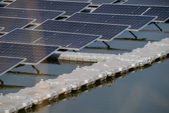 A row of solar panels are floating on a body of water. The panels are connected to each other and to the ground