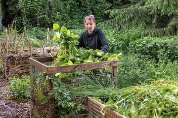 Woman adding garden waste and weeds to compost bin in backyard, sustainable gardening and organic...