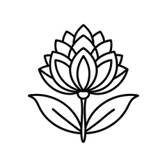 lotus flower isolated on white background