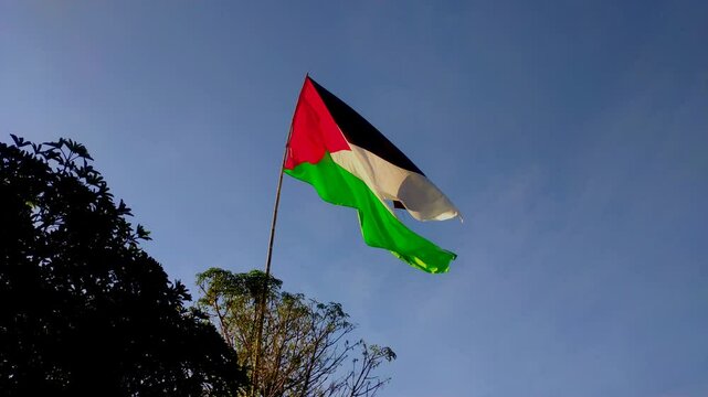The bright Palestinian flag flutters proudly in the clear blue sky, partly framed by the dark green leaves of the trees.