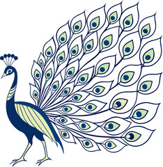 Elegant Peacock with Colorful Feathers in Vector Line Art Style
