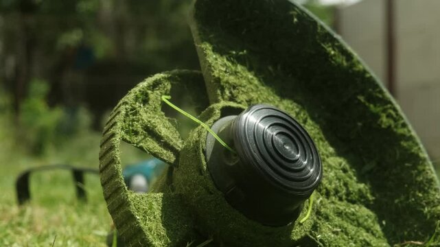 Close-up of electric trimmer resting on freshly cut grass with grass clippings stuck, symbolizing completed yard work.
