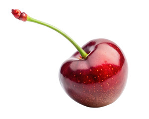 Fresh Red Cherry with Stem Isolated on Transparent Background