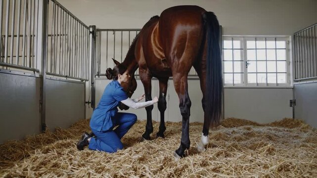 Veterinarian is kneeling on straw bedding, carefully examining the legs of a brown horse inside a stable, providing essential medical care to the animal