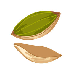 Cartoon pistachio with cracked shell and exposed nut. Vector food illustration. For healthy snack design, menus, mobile apps, product labels, digital icons