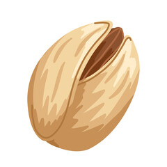 Cracked pistachio nut with visible core. Flat hand drawn vector food illustration. For snack branding, packaging, digital design, menus, app icons, stickers