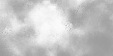 Abstract gray watercolor background painting, gray and white background. bright and sunny design with liquid grunge effects vector backdrop. elegant airy watercolor fluffy cloud modern art concept. 