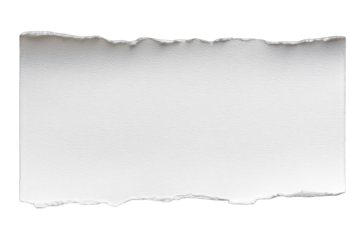 Ripped white rectangular piece of paper (1)