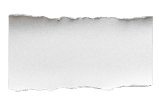 Ripped white rectangular piece of paper (1)