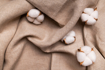 Natural beige brown linen fabric texture with folds and cotton flowers close up. Eco-friendly...