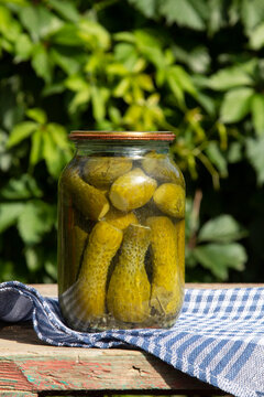 Jar of homemade preserves cucumbers on a wooden table against a background of greenery.
