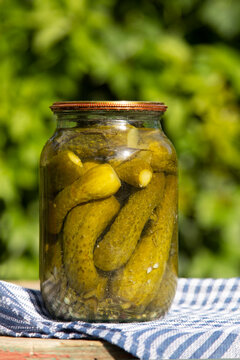 Jar of homemade preserves cucumbers on a wooden table against a background of greenery.