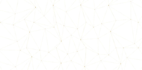 Abstract of simple gray line triangle pattern geometric background .white background creative and geometric shape with white luxury pattern.  Seamless geometric polygonal repeatable pattern.