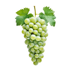 Grape. Green grapes or white. Fresh green grape macro. Grapes, isolated on fully transparent png background
