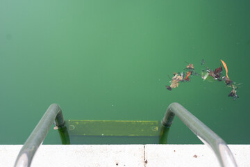 The pool is dirty, filled with green water and debris, showing signs of neglect and contamination