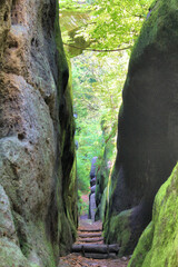 Ritterschlucht in Oybin