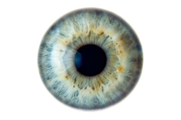 Human eye iris close up macro shot isolated on a white background png
