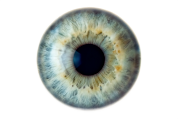 Human eye iris close up macro shot isolated on a white background png