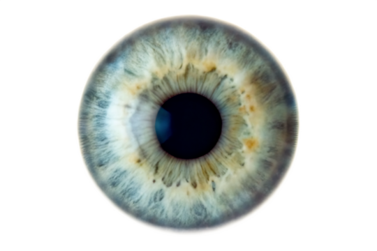 Human eye iris close up macro shot isolated on a white background png