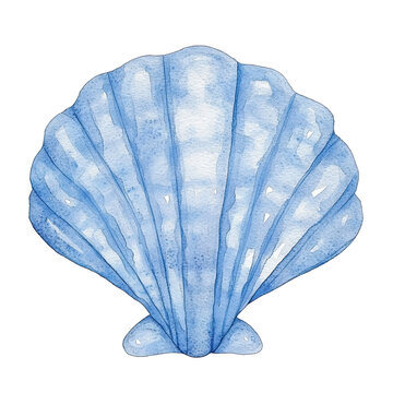 Watercolor blue shell illustration, marine coastal element  isolated on white transparent background