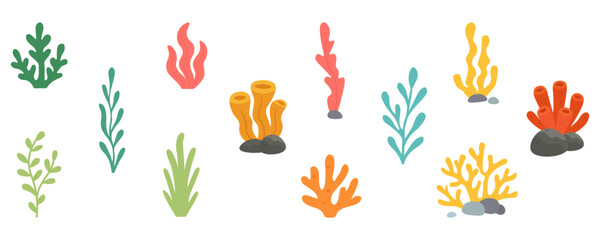 Underwater plants and corals set. Seaweed, marine algae, ocean corals illustration. Aquarium decoration pack.