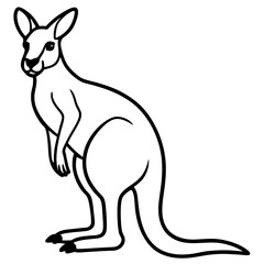 Modern Kangaroo Line Drawing