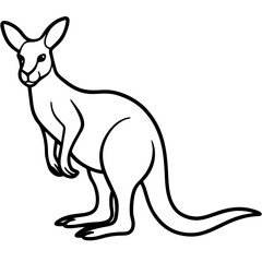 Modern Kangaroo Line Drawing