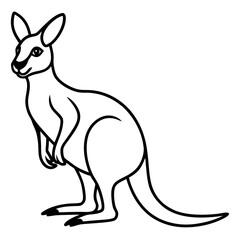 Modern Kangaroo Line Drawing