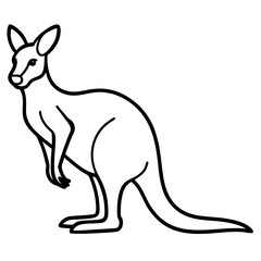 Modern Kangaroo Line Drawing