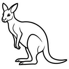 Modern Kangaroo Line Drawing
