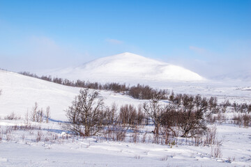 Obraz premium Snow covered mountains. Winter landscape on Dovrefjell, Norway. 