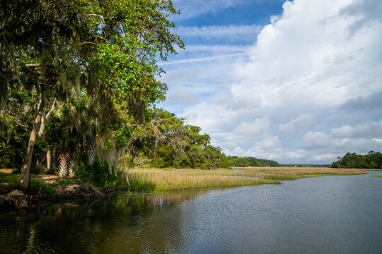 Marsh river in Charleston SC 