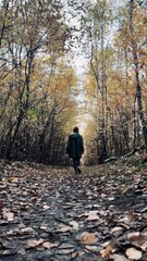Forest path with autumn foliage leading to a figure walking alone among trees in a serene atmosphere