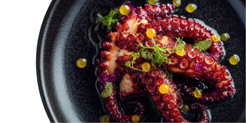 Roasted octopus dish with vibrant garnish