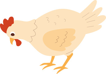 Chicken Illustration