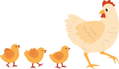 Mother Hen Walking with Baby Chicks