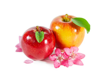 Red juicy shiny apples with flowers and leaves. Isolated on white background.