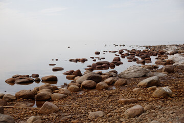 Rocky seashore texture seamless background