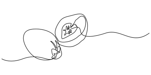 betel nut continuous one line drawing, areca nut, scientific name Areca catechu, isolated on white background, Vector illustration, green, Collection of betel nut icons, editable and resizable vector.