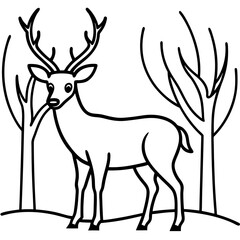 Deer in forest clearing line art vector illustration 