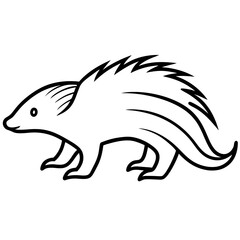 Porcupine walking line art vector illustration 