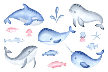 Set of arctic sea whales and fish watercolor illustration for baby designs. North undersea wild mammal animals isolated. Hand drawn underwater inhabitants of cold ocean. Cute kids marine characters.